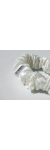 Шелковая резинка для волос Forma Store в размере S в оттенке: Белый