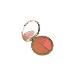 TARTE SEA Палітра для обличчя Breezy (cream blush+bronzer)