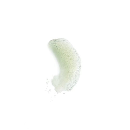 Шампунь для волосся Remilia GREEN GODDESS Shampoo 300 ml