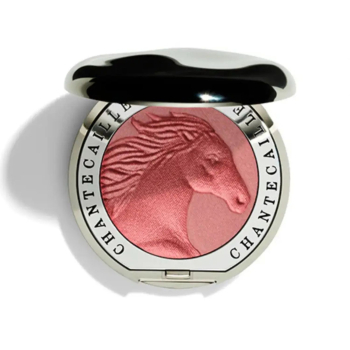 Рум'яна з ефектом сяйва CHANTECAILLE Philanthropy Cheek Shade Compact 2.5g у відтінку: Joy