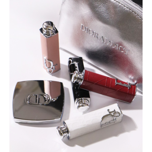 Косметичка Срібна DIOR TROUSSE POUCH