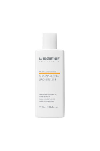 Шампунь для сухого волосся і шкіри голови LA BIOSTHETIGUE Lipokerine B Shampoo 250мл