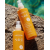 Сонцезахисний спрей для волосся LA BIOSTHETIGUE Sun Care Conditioning Spray 150 мл