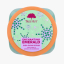 Скраб для тіла Tree Hut Enchanting Emerald Sugar Scrub 510g