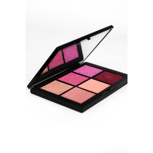 NARS Палетка Rising star 