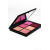 NARS Палетка Rising star 