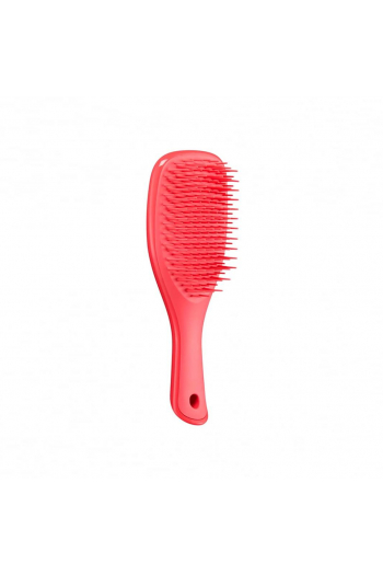 Щітка міні для волосся Tangle Teezer The Wet Detangler Mini Pink Punch
