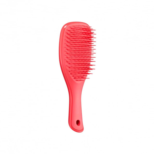 Щетка для волос мини Tangle Teezer The Wet Detangler Mini Pink Punch