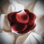 Ароматизовані пелюстки троянд ROSE PETAL EXPLOSION, 100 шт. Bijoux Indiscrets (Іспанія)
