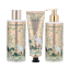 Набір гель для душу, лосьйон, крем VIVIAN GRAY Birds of Paradise 250х250х75ml