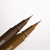 Лайнер для брів ZOLA Mono Brush Light Brown