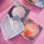 Пудра для обличчя ZOLA powder Magic Mattifying Powder White 5g у відтінку: IRIS