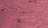 102 Nude Blush 