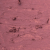 103 Cocoa