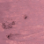 104 Dusty Orchid